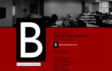 Branches Design