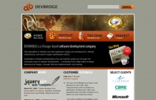 DevBridge