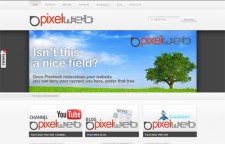 Pixelweb