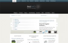 Fmsseo