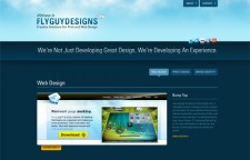 FlyGuy Designs