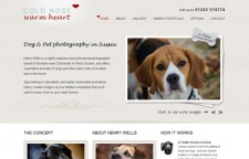 Sussex Dog Photography