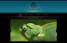 WP Chameleon