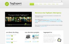 Tag Expert