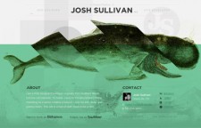 Josh Sullivan