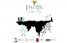 Pixelfly Design