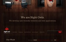 Night Owl Interactive