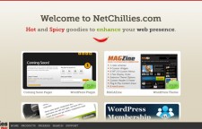 NetChillies