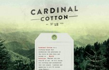 Cardinal Cotton