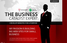 Adobe Business Catalyst Experts