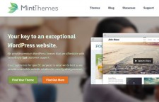 Mint Themes